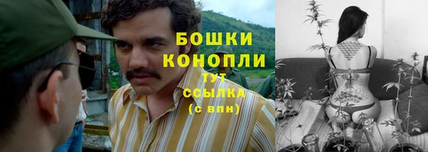 дживик Каменск-Шахтинский