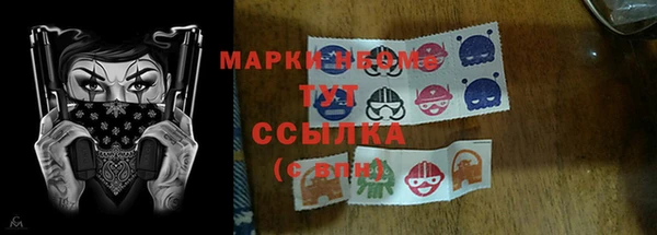 прущая мука Каменка