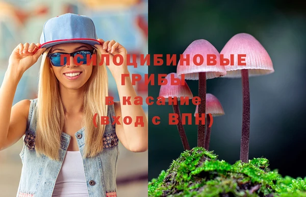 эйфоретик Каменногорск