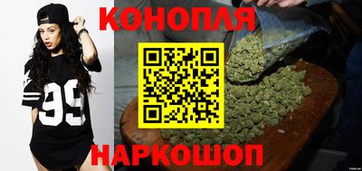 дживик Кингисепп