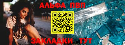 дживик Кингисепп