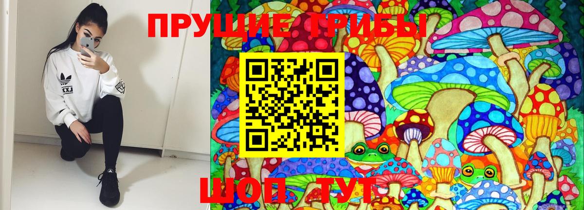 Галлюциногенные грибы Cubensis Когалым