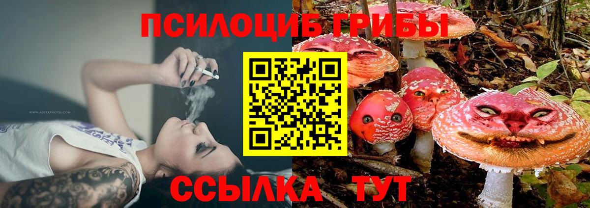 Галлюциногенные грибы прущие грибы  Галлюциногенные грибы MAGIC MUSHROOMS  Вход с VPN  Когалым 